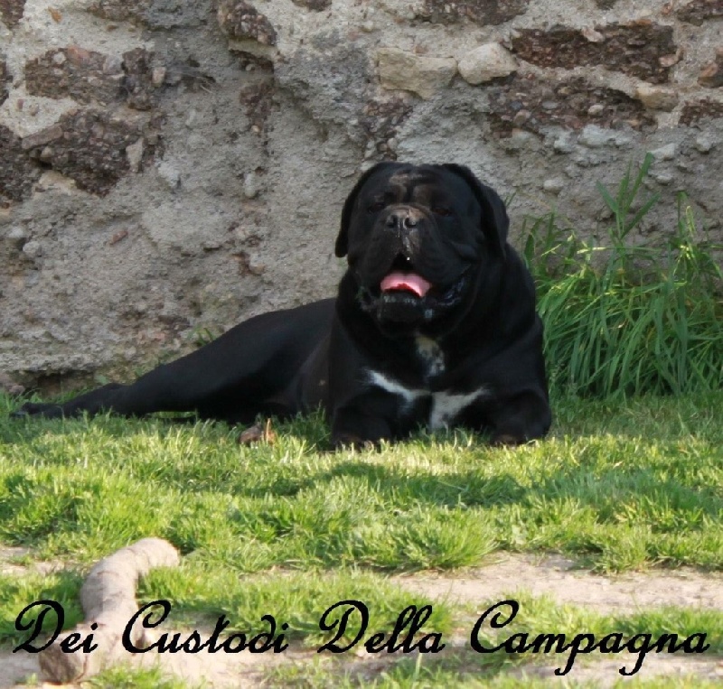 Indra Dei Custodi Della Campagna