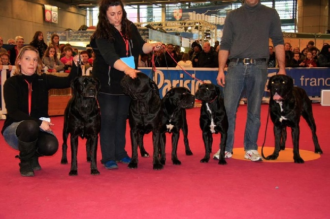 Salon de l agriculture 2014